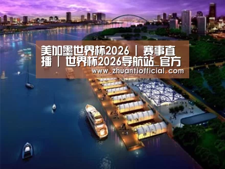 案例展示八