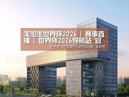 案例展示四