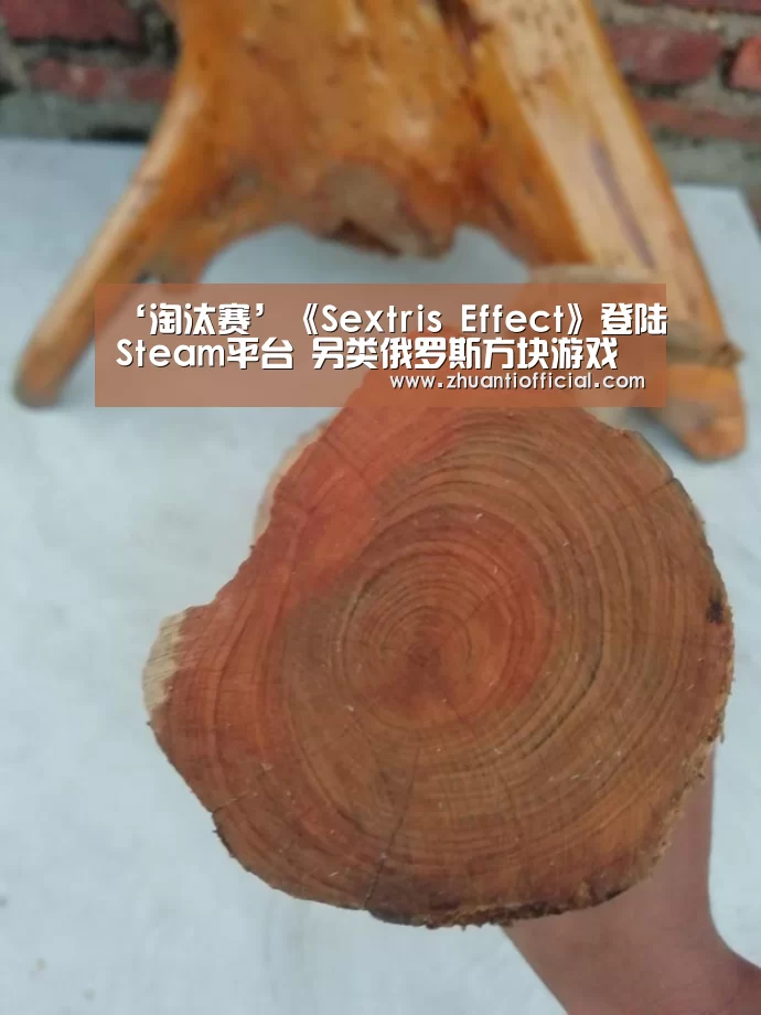 ‘淘汰赛’《Sextris Effect》登陆Steam平台 另类俄罗斯方块游戏(图3) 淘汰赛
