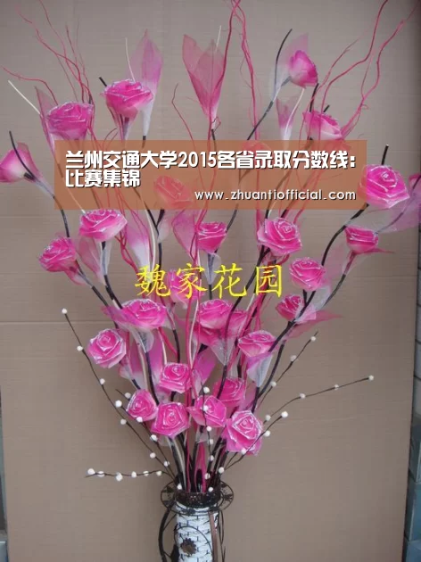 比赛集锦