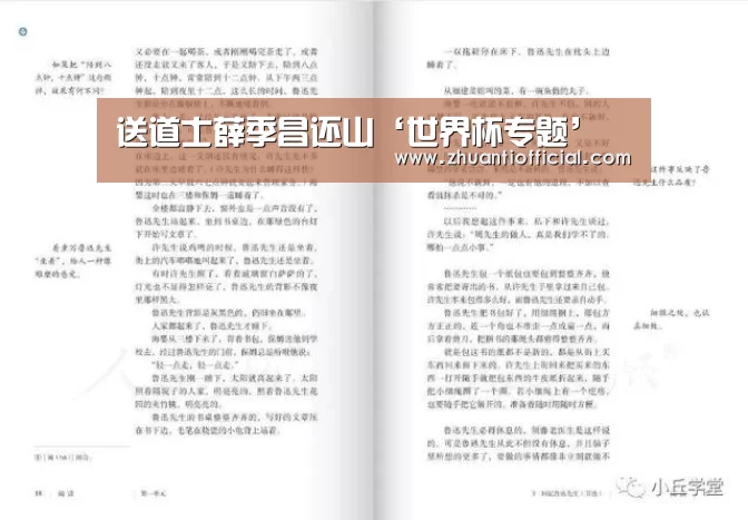 送道士薛季昌还山‘世界杯专题’(图3) 比赛集锦