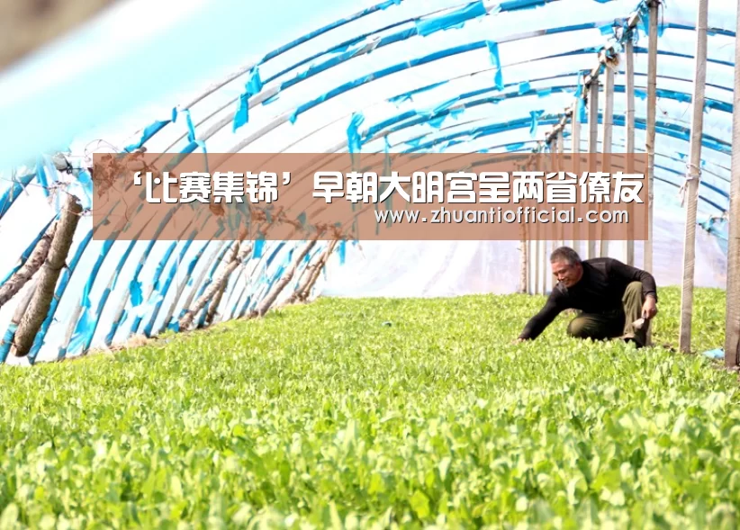 比赛集锦