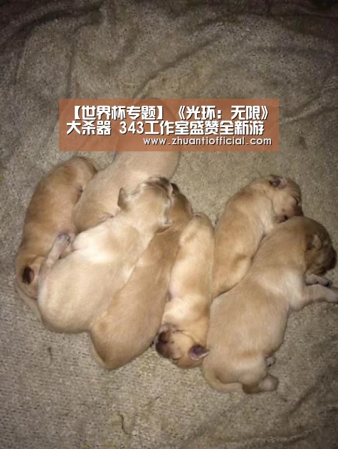 比赛集锦