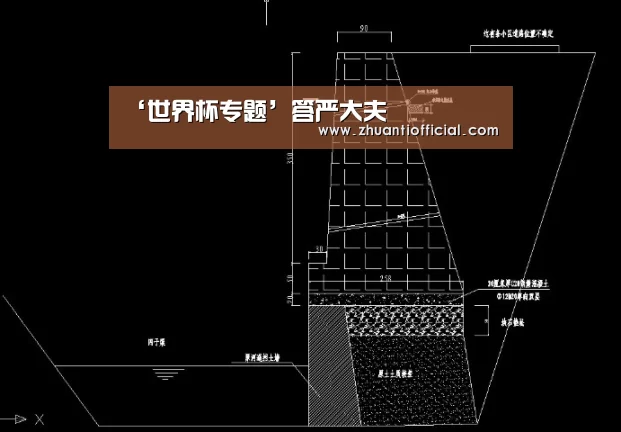 ‘世界杯专题’答严大夫(图1) 比赛集锦