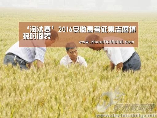 淘汰赛