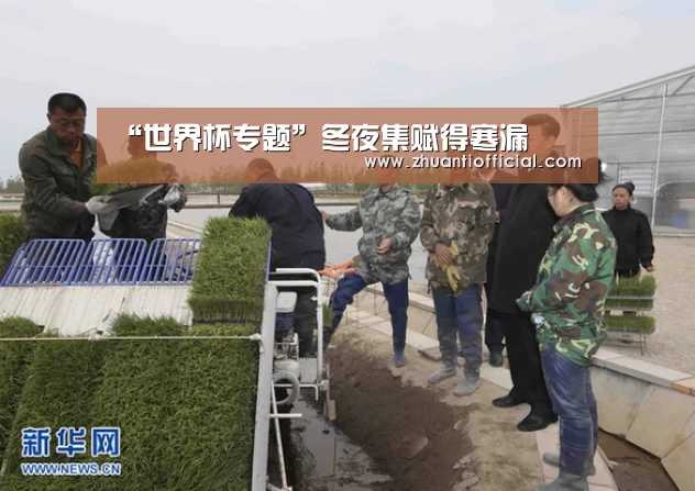 比赛集锦